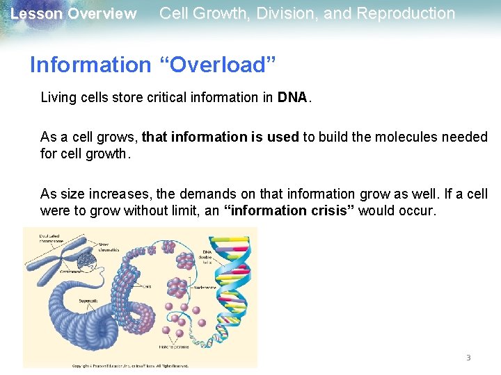 Lesson Overview Cell Growth, Division, and Reproduction Information “Overload” Living cells store critical information