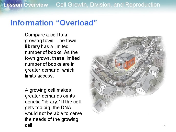 Lesson Overview Cell Growth, Division, and Reproduction Information “Overload” Compare a cell to a
