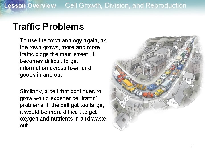 Lesson Overview Cell Growth, Division, and Reproduction Traffic Problems To use the town analogy