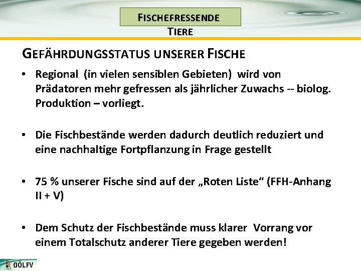 F ISCHE FRESSENDE T IERE GEFÄHRDUNGSSTATUS UNSERER FISCHE • Regional (in vielen sensiblen Gebieten)