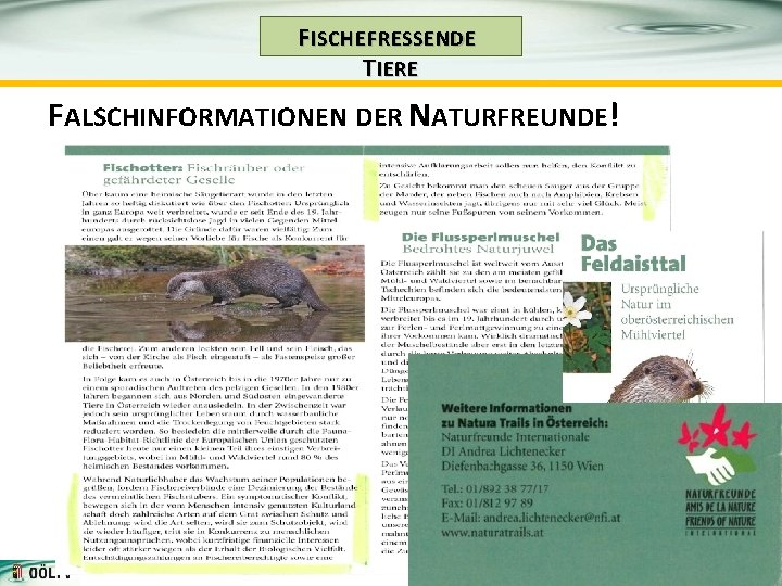 F ISCHE FRESSENDE T IERE FALSCHINFORMATIONEN DER NATURFREUNDE! 