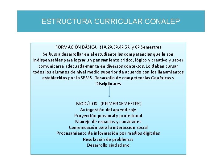 ESTRUCTURA CURRICULAR CONALEP FORMACIÓN BÁSICA (1º. 2º. 3º. 4º. 5º. y 6ºy. Semestre) FORMACIÓN