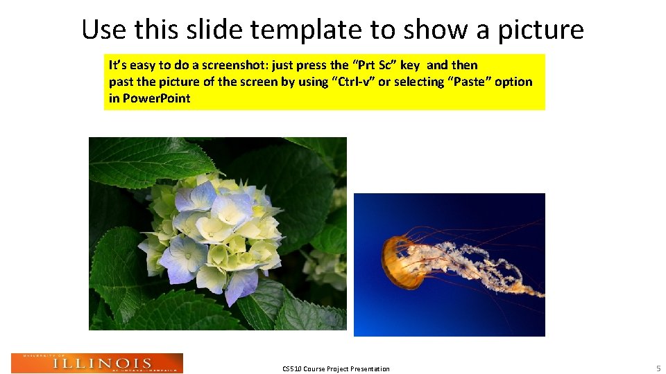 Use this slide template to show a picture It’s easy to do a screenshot: