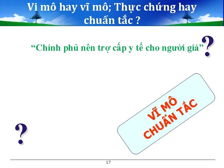 Vi mô hay vĩ mô; Thực chứng hay chuẩn tắc ? ? “Chính phủ