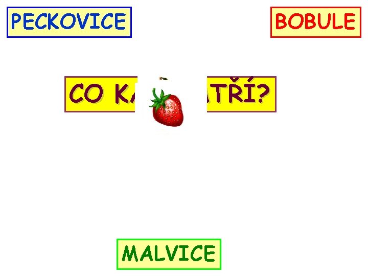 PECKOVICE CO KAM PATŘÍ? MALVICE BOBULE 