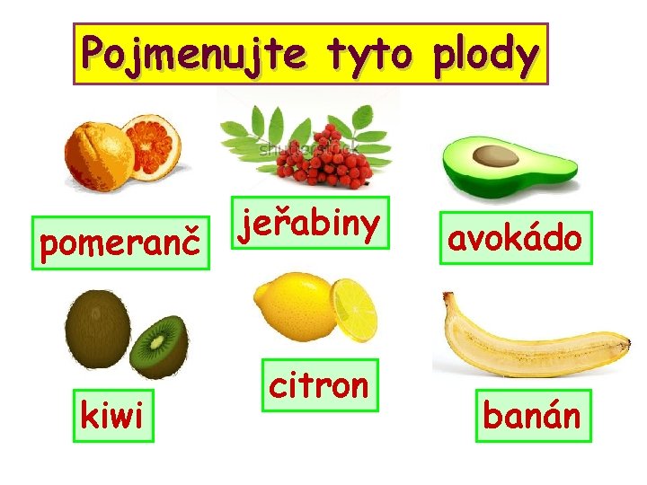 Pojmenujte tyto plody pomeranč kiwi jeřabiny citron avokádo banán 