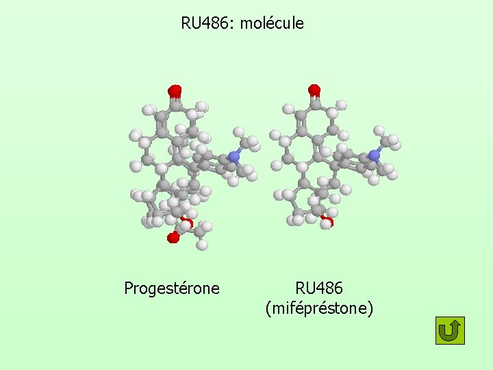 RU 486: molécule Progestérone RU 486 (mifépréstone) RU 486: molécule Progestérone RU 486 (mifépréstone)