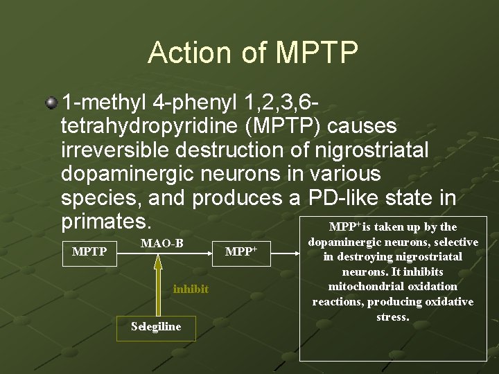 Action of MPTP 1 -methyl 4 -phenyl 1, 2, 3, 6 tetrahydropyridine (MPTP) causes