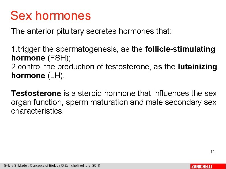Sex hormones The anterior pituitary secretes hormones that: 1. trigger the spermatogenesis, as the