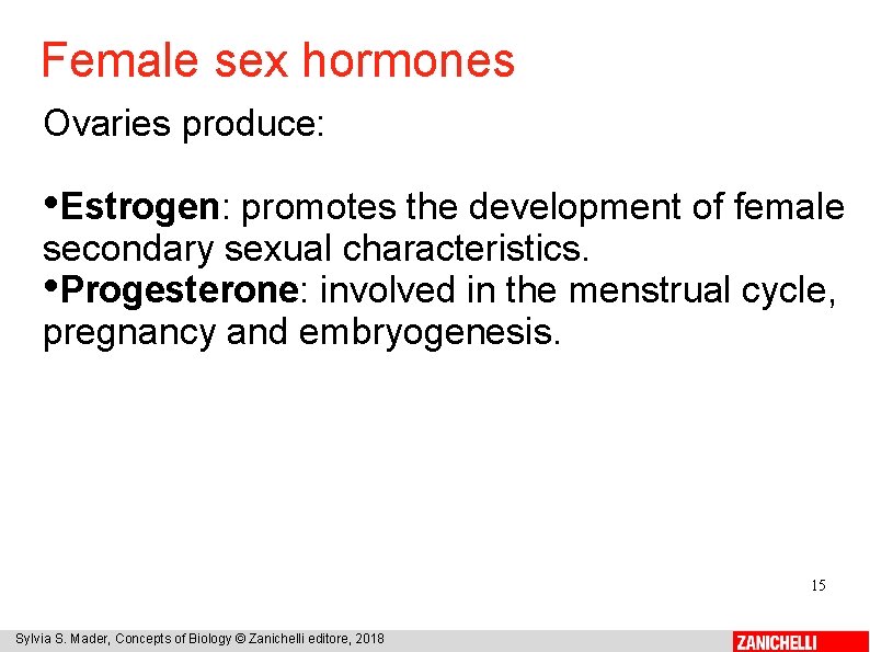 Female sex hormones Ovaries produce: • Estrogen: promotes the development of female secondary sexual