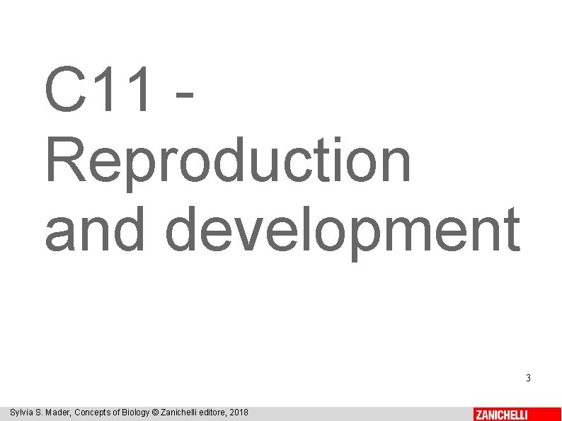 C 11 Reproduction and development 3 Sylvia S. Mader, Concepts of Biology © Zanichelli