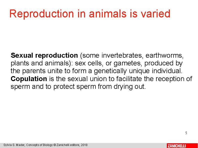 Reproduction in animals is varied Sexual reproduction (some invertebrates, earthworms, plants and animals): sex