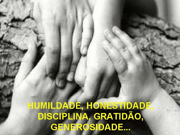 HUMILDADE, HONESTIDADE, DISCIPLINA, GRATIDÃO, GENEROSIDADE. . . HUMILDADE, HONESTIDADE, DISCIPLINA, GRATIDÃO, GENEROSIDADE. . .