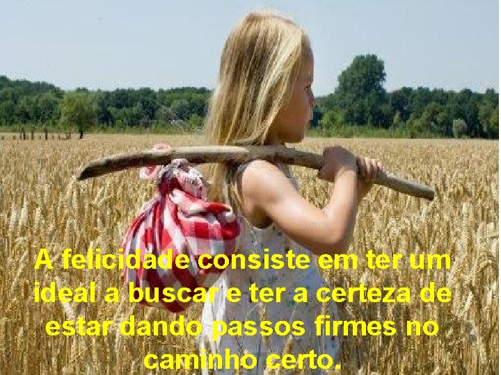 A felicidade consiste em ter um ideal a buscar e ter a certeza de A felicidade consiste em ter um ideal a buscar e ter a certeza de