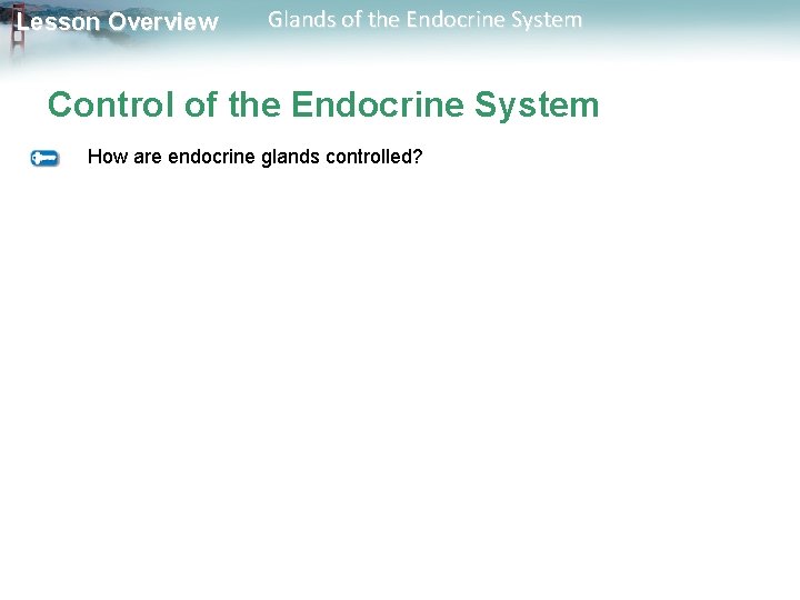 Lesson Overview Glands of the Endocrine System Control of the Endocrine System How are