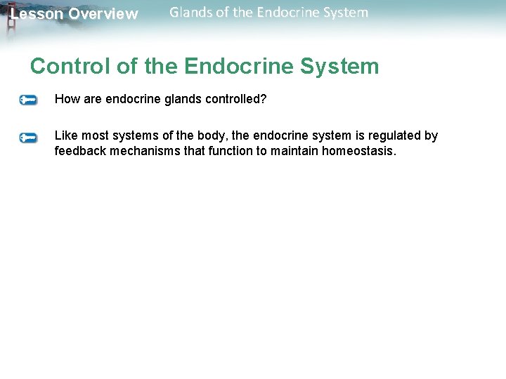 Lesson Overview Glands of the Endocrine System Control of the Endocrine System How are