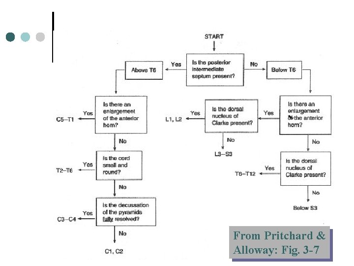From Pritchard & Alloway: Fig. 3 -7 