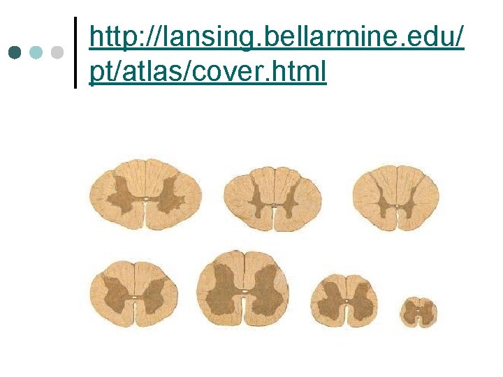 http: //lansing. bellarmine. edu/ pt/atlas/cover. html 