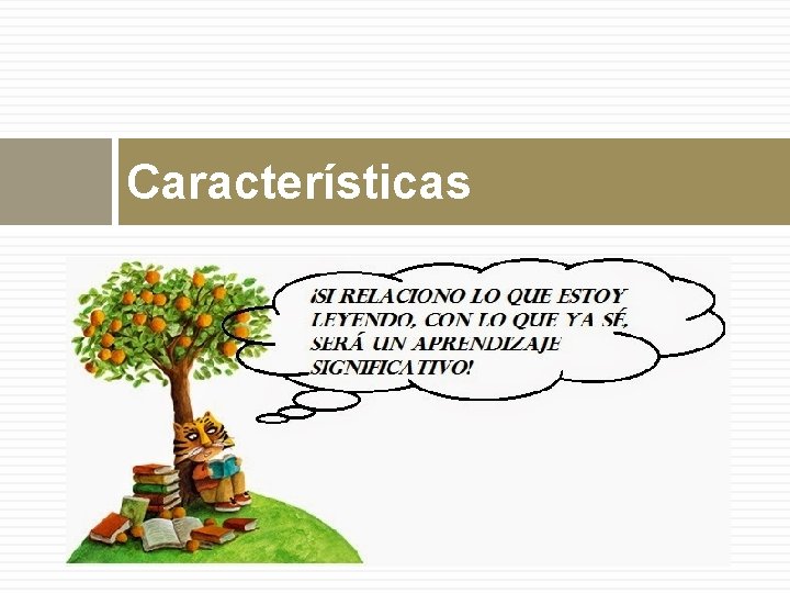 Características 