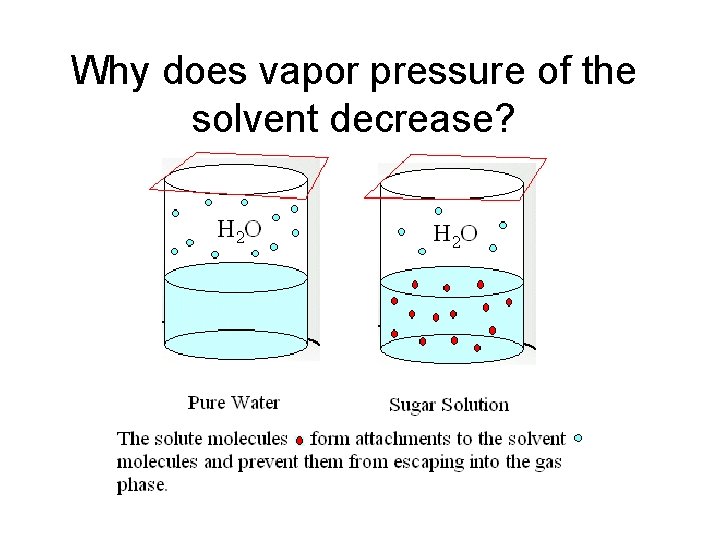 Why does vapor pressure of the solvent decrease? 