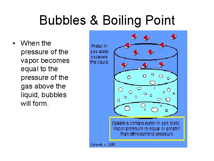 Bubbles & Boiling Point • When the pressure of the vapor becomes equal to