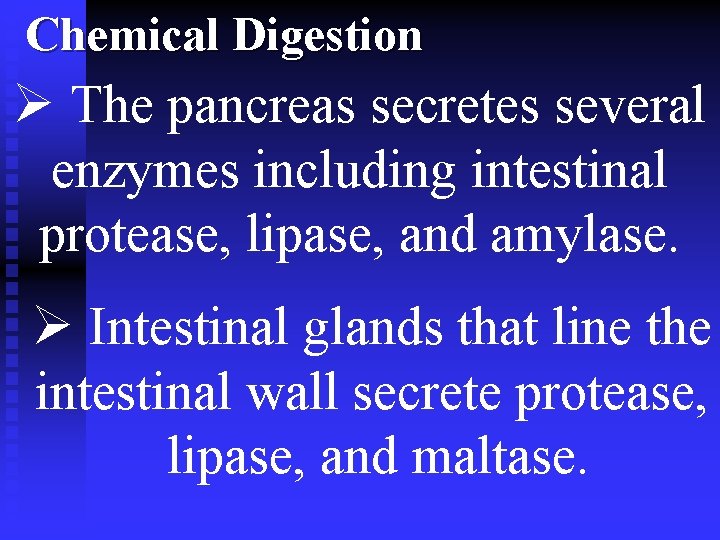 Chemical Digestion Ø The pancreas secretes several enzymes including intestinal protease, lipase, and amylase.