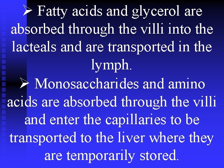 Ø Fatty acids and glycerol are absorbed through the villi into the lacteals and