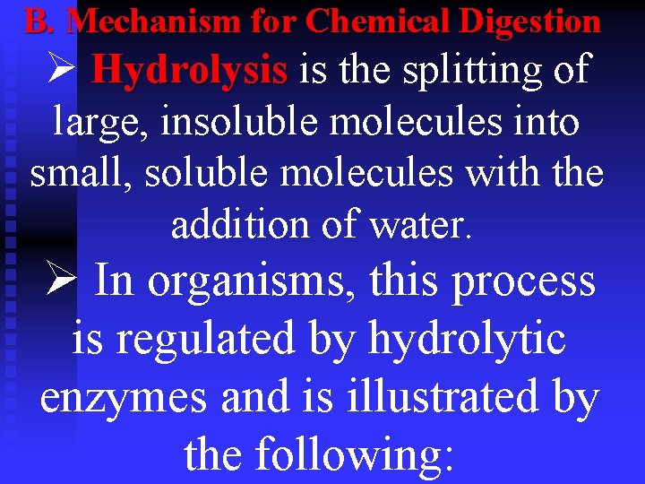 B. Mechanism for Chemical Digestion Ø Hydrolysis is the splitting of Hydrolysis large, insoluble