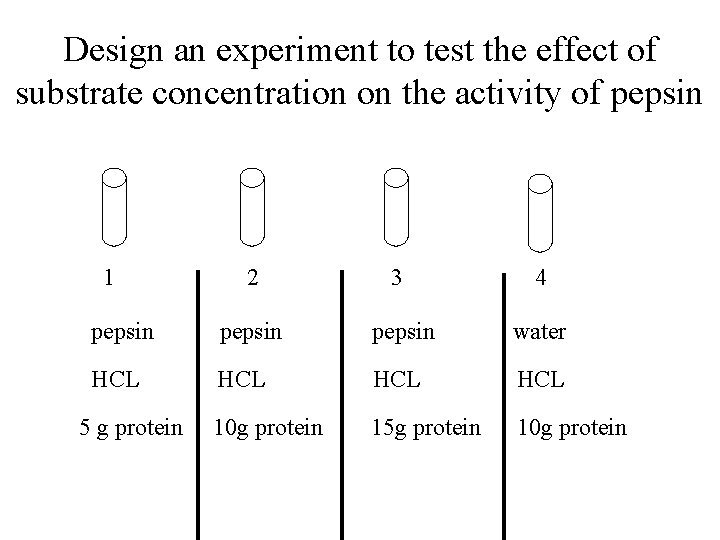 Design an experiment to test the effect of substrate concentration on the activity of