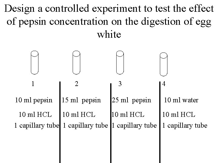 Design a controlled experiment to test the effect of pepsin concentration on the digestion