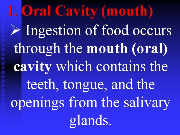 1. Oral Cavity (mouth) Ø Ingestion of food occurs through the mouth (oral) cavity