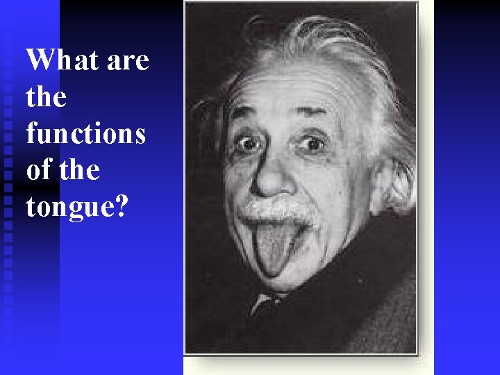 What are the functions of the tongue? 