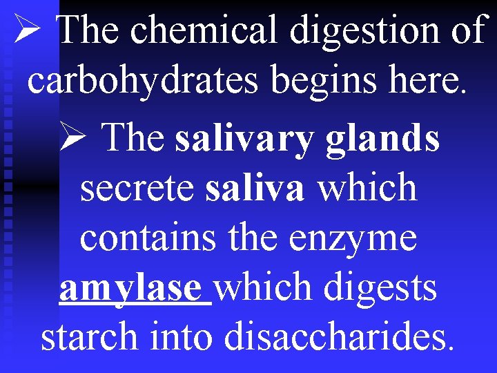 Ø The chemical digestion of carbohydrates begins here. Ø The salivary glands secrete saliva