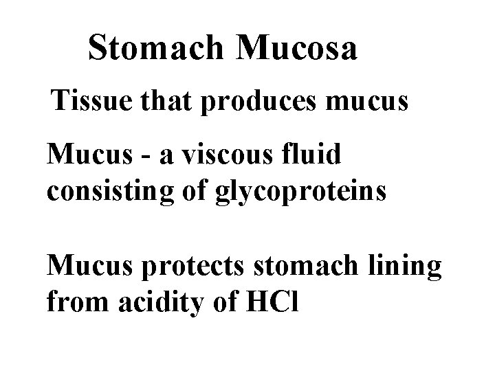 Stomach Mucosa Tissue that produces mucus Mucus - a viscous fluid consisting of glycoproteins