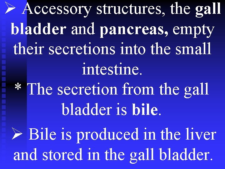Ø Accessory structures, the gall bladder and pancreas, empty their secretions into the small