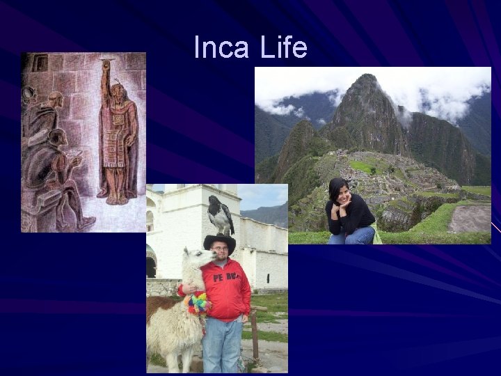 Inca Life 