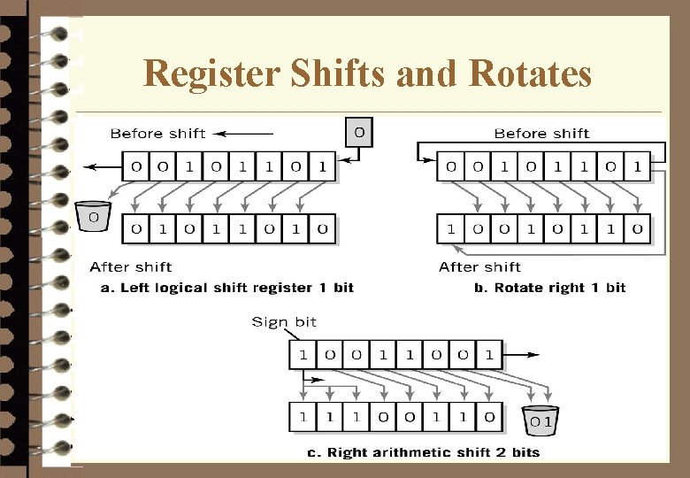 Register Shifts and Rotates 