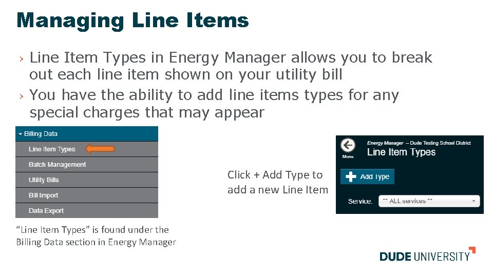 Managing Line Items › › Line Item Types in Energy Manager allows you to