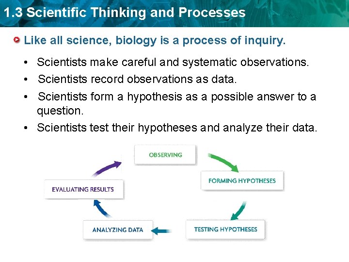 1. 3 Scientific Thinking and Processes Like all science, biology is a process of