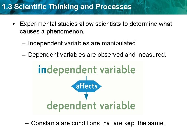1. 3 Scientific Thinking and Processes • Experimental studies allow scientists to determine what