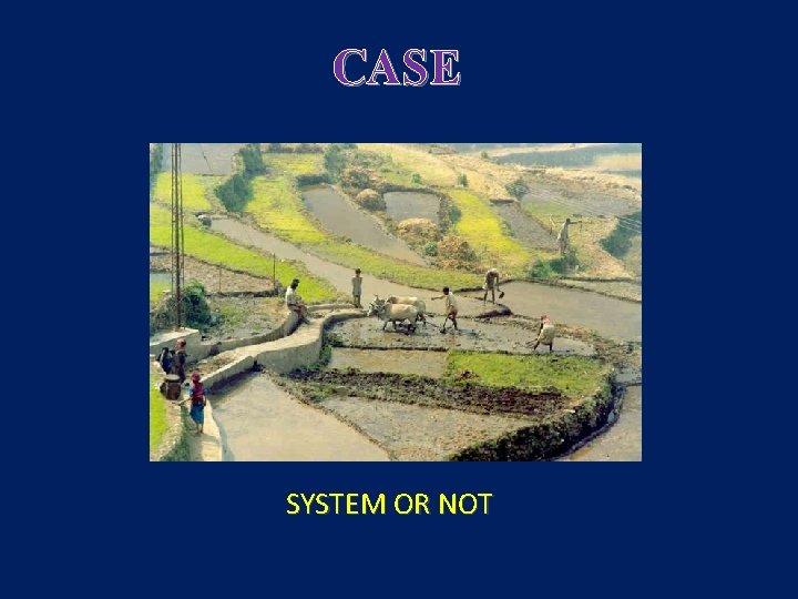 CASE SYSTEM OR NOT 