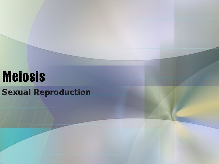 Meiosis Sexual Reproduction 