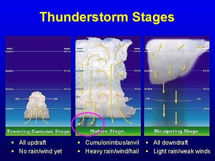 Thunderstorm Stages § All updraft § No rain/wind yet § Cumulonimbus/anvil § All downdraft Thunderstorm Stages § All updraft § No rain/wind yet § Cumulonimbus/anvil § All downdraft