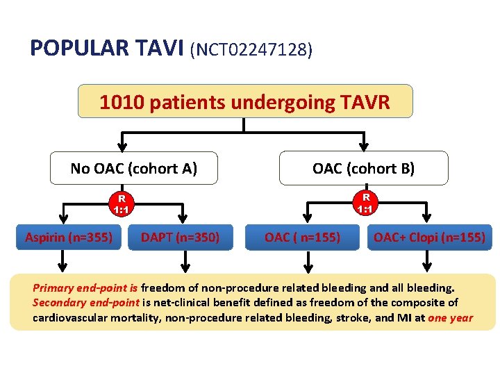 POPULAR TAVI (NCT 02247128) 1010 patients undergoing TAVR No OAC (cohort A) OAC (cohort