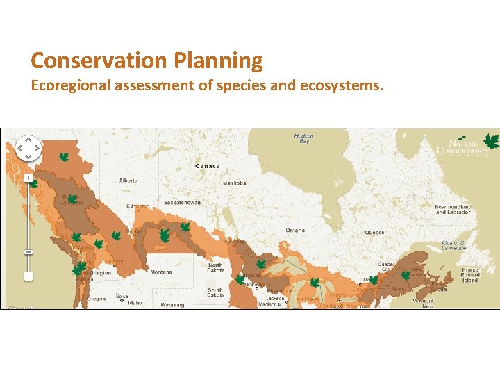 Conservation Planning Ecoregional assessment of species and ecosystems. 