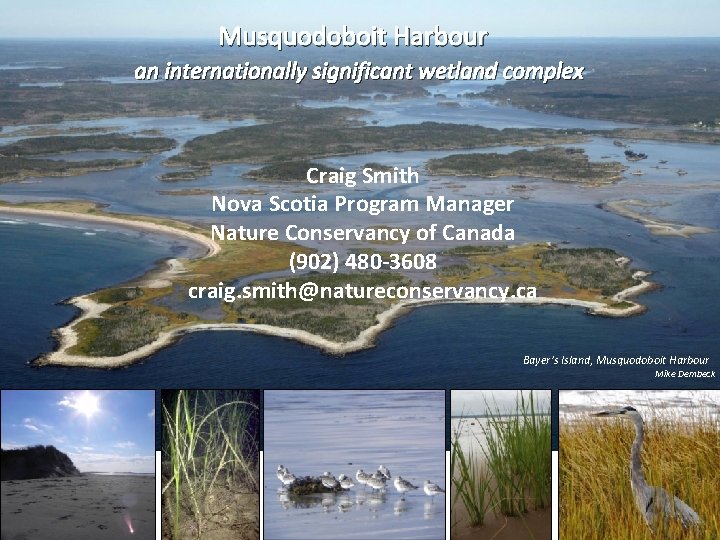 Musquodoboit Harbour an internationally significant wetland complex Craig Smith Nova Scotia Program Manager Nature