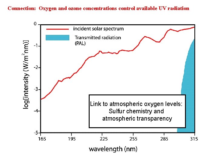 Connection: Oxygen and ozone concentrations control available UV radiation Link to atmospheric oxygen levels: