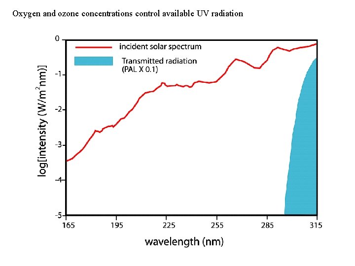 Oxygen and ozone concentrations control available UV radiation 