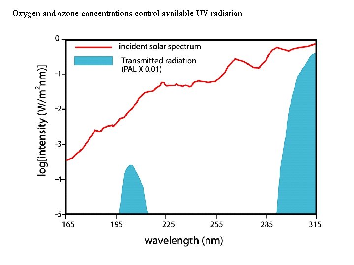 Oxygen and ozone concentrations control available UV radiation 