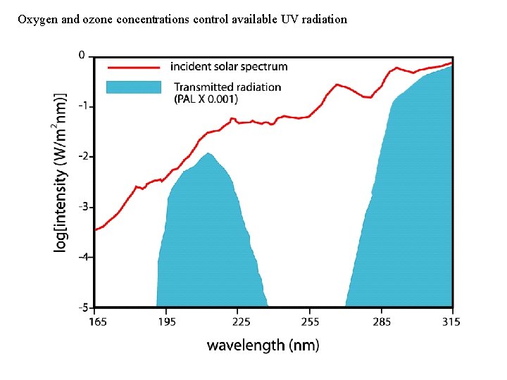 Oxygen and ozone concentrations control available UV radiation 